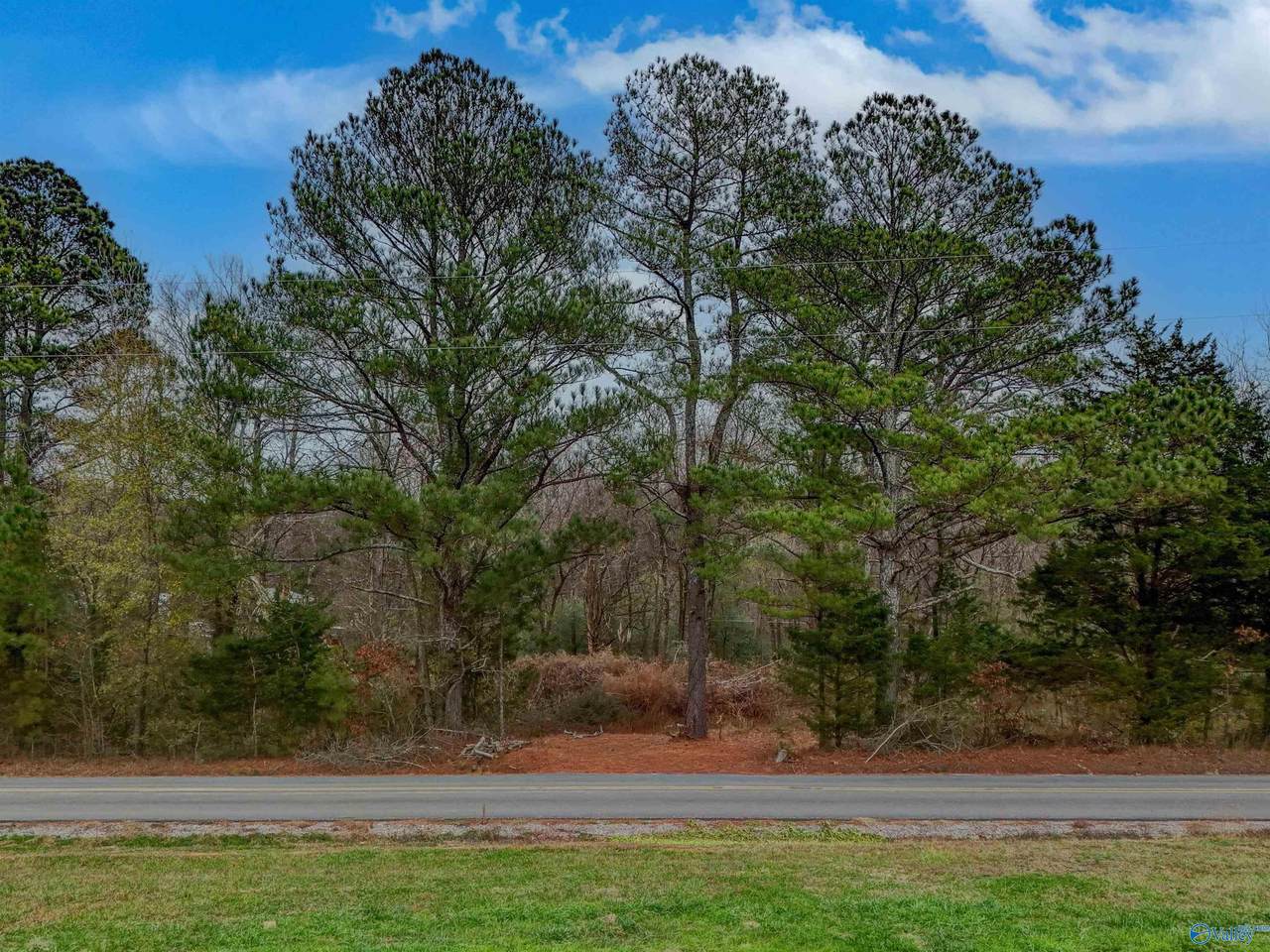 5.5 County Road 1224 - Photo 1