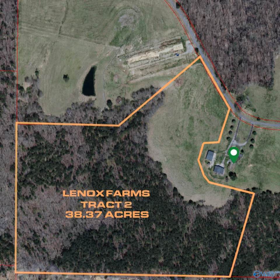 38.37 Acres Latham - Photo 1