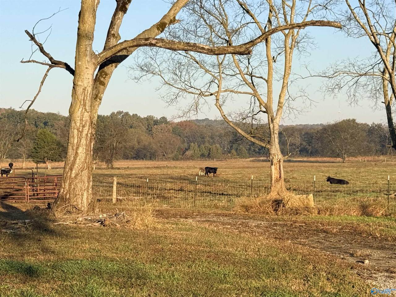 53 Acres County Road 41 - Photo 1