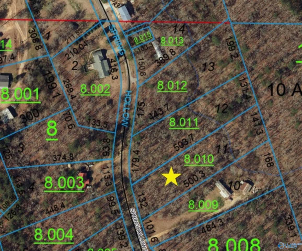 11 Springhollow Drive - Photo 1