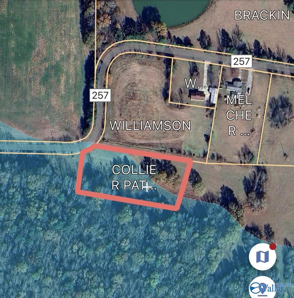 2 acres County Road 257 - Photo 1