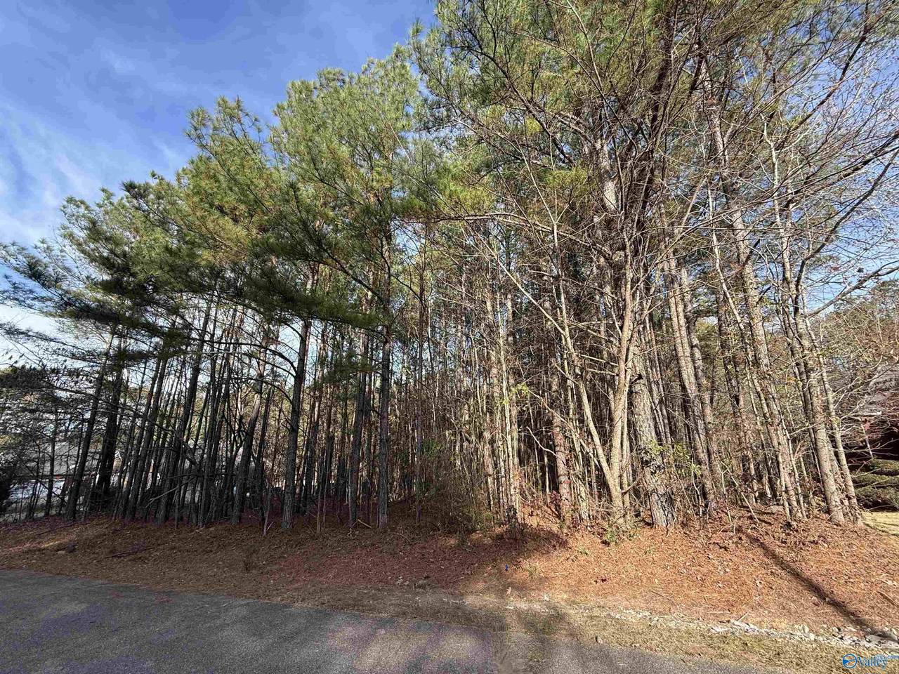 Lot 3 Sweetwater Lane - Photo 1