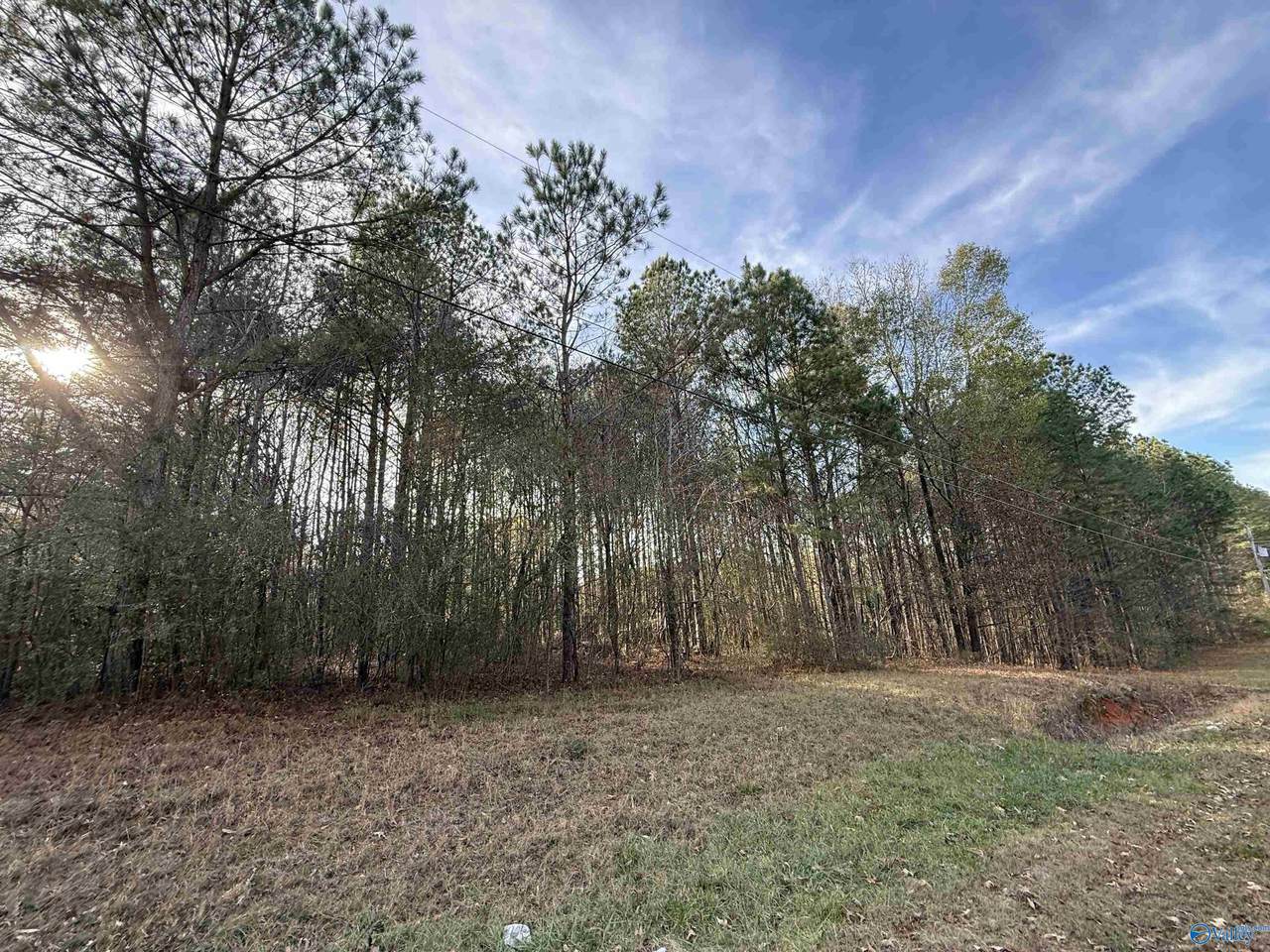 Lot 19 Sweetwater Lane - Photo 1