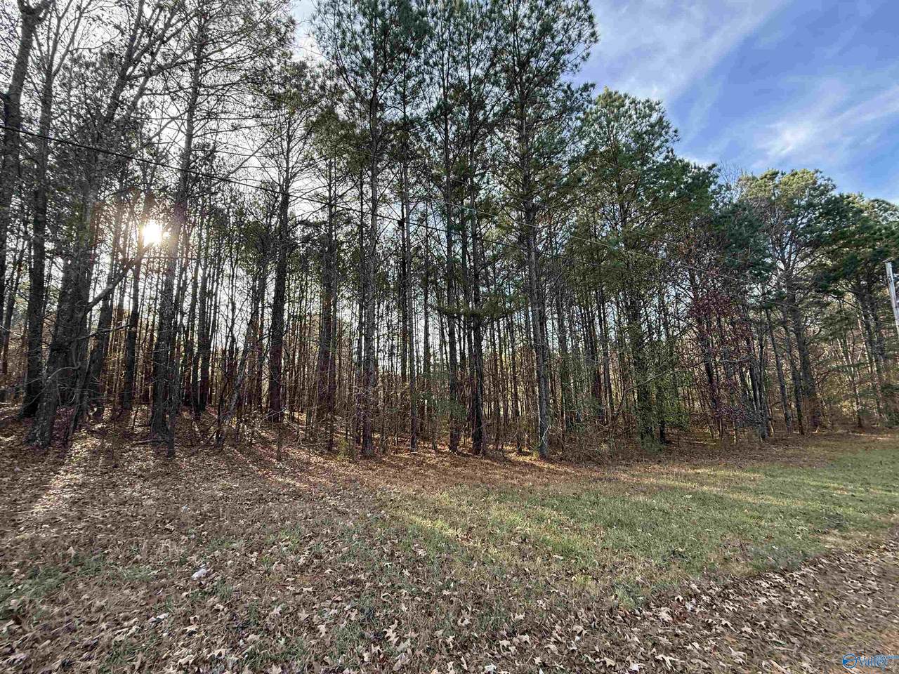 Lot 20 Sweetwater Lane - Photo 1