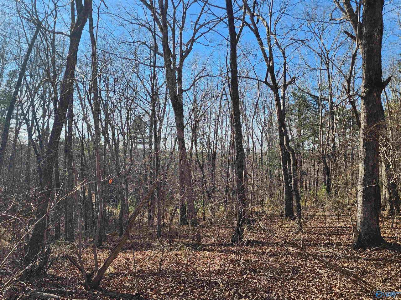lot 35 Road 9050 - Photo 1