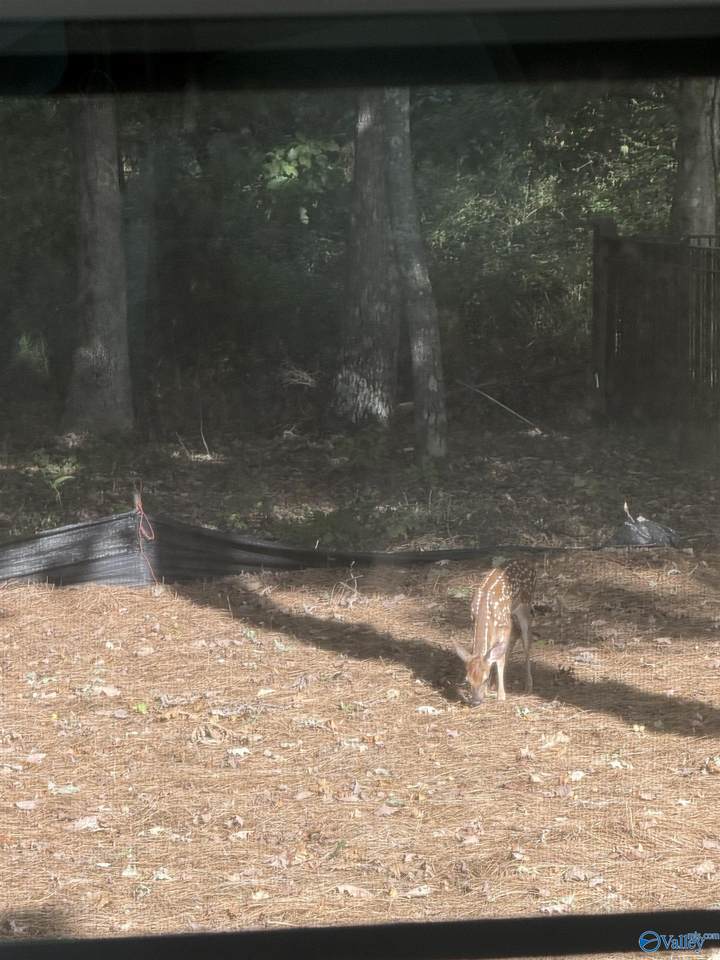 29 Bluff Creek - Photo 1