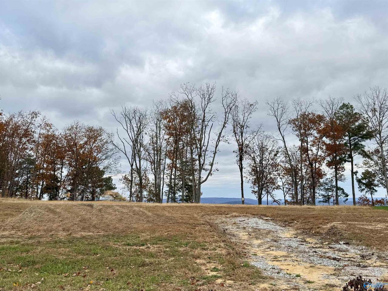 31 Ridge Bluff Circle - Photo 1