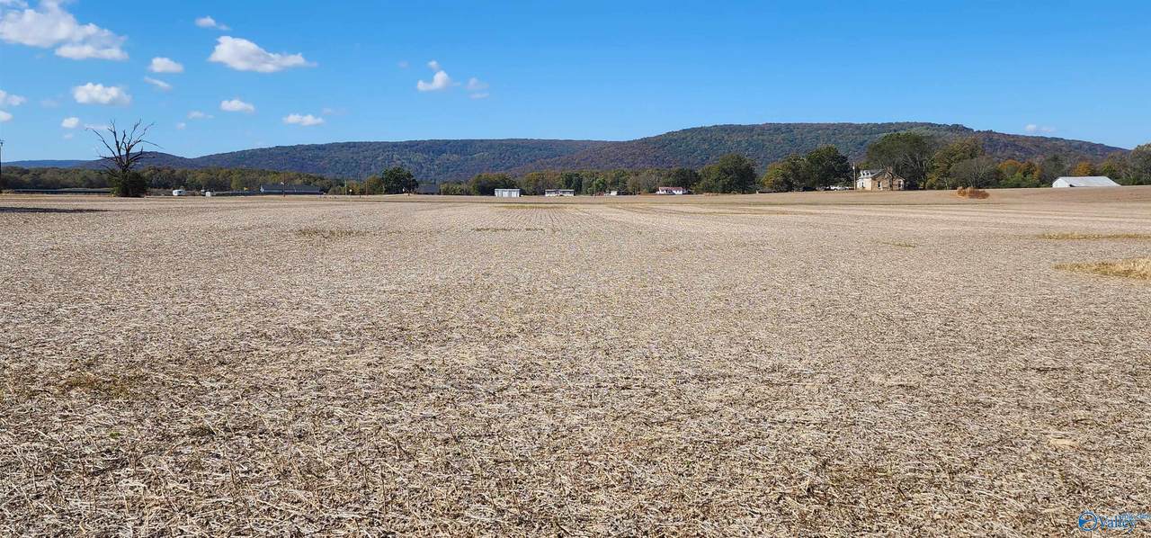 140 Beshears Road - Photo 1