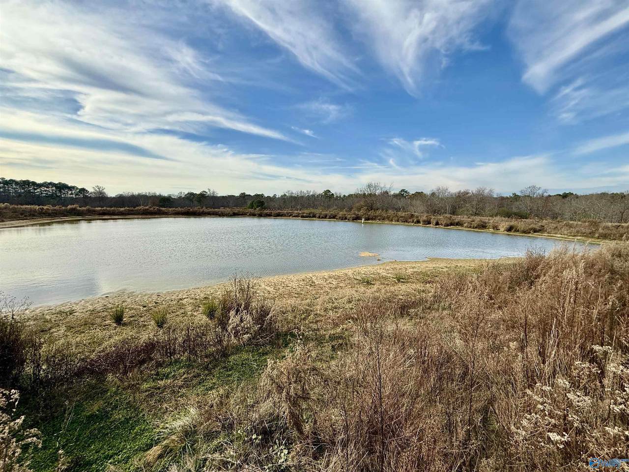 36 AC Brown Road - Photo 1