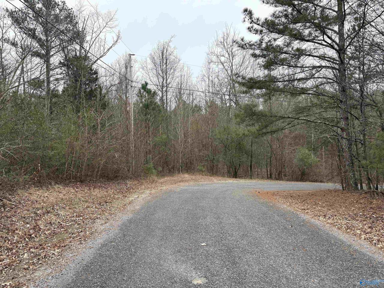 lots 30&31 Chawnee Circle - Photo 1