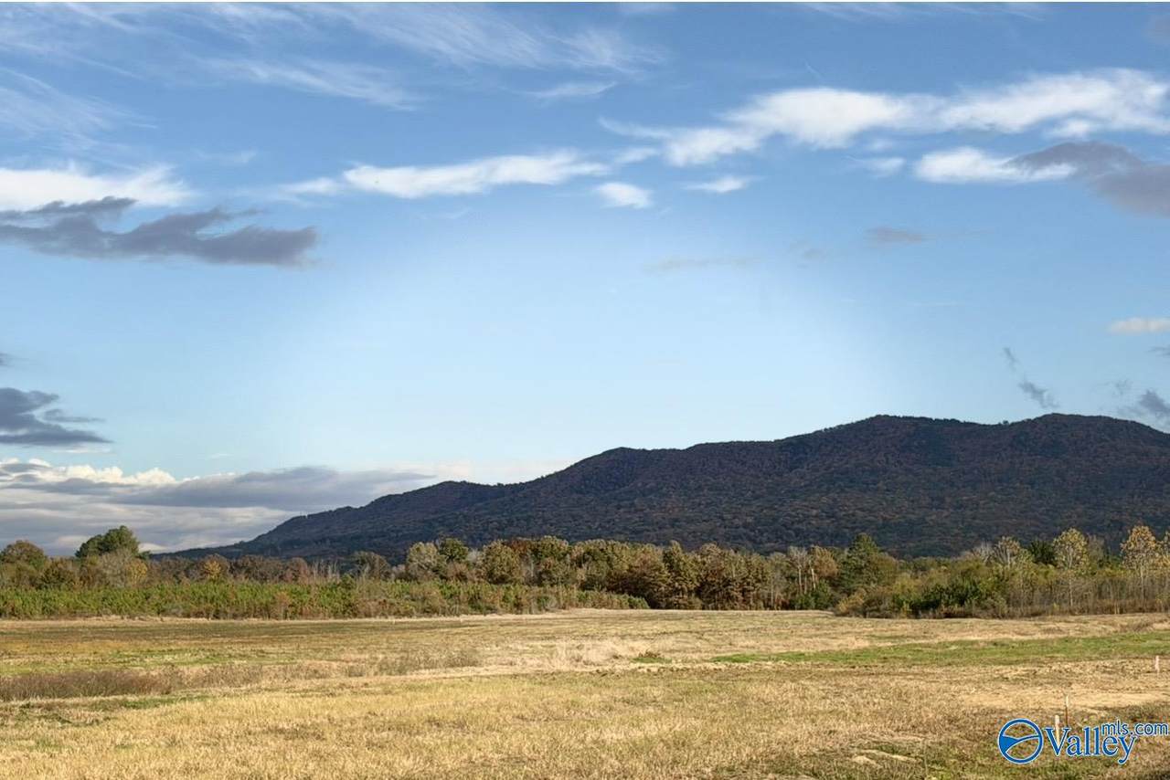 Lot 36 County Road 32 - Photo 1