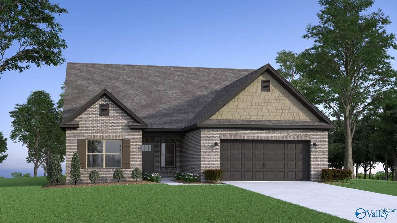 173 Saddle Street - Photo 1