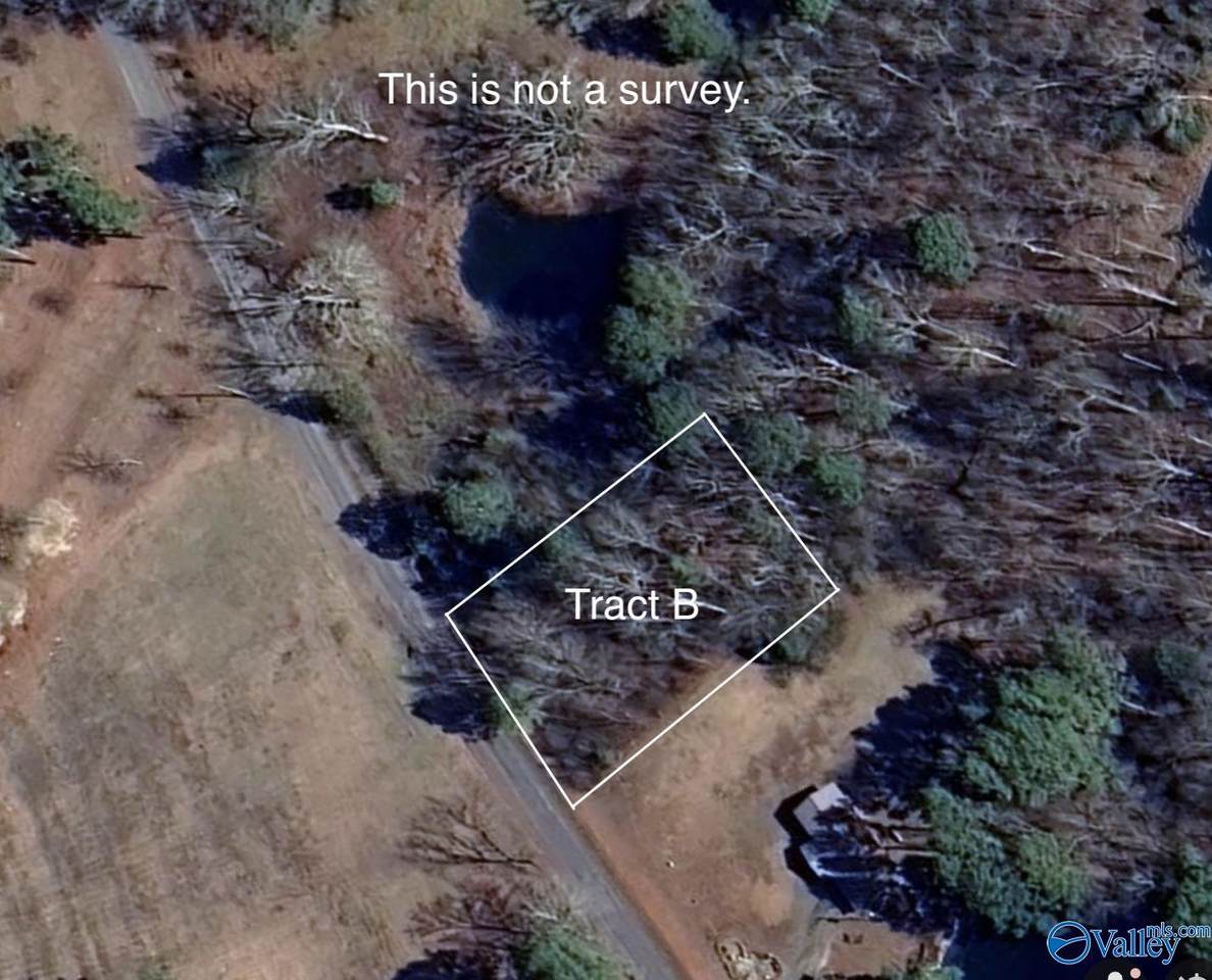 Tract B Hammonds Road - Photo 1