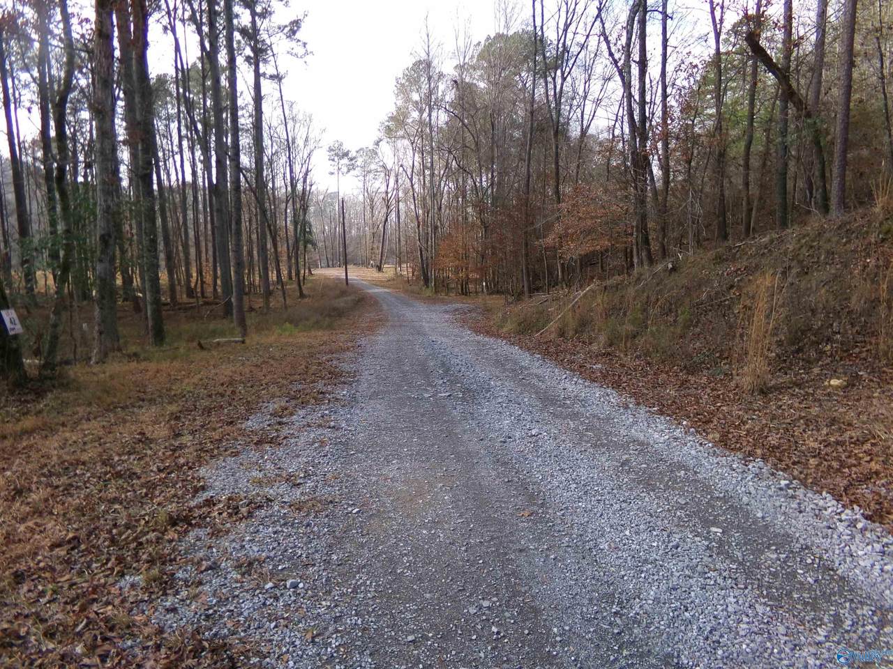https://bt-photos.global.ssl.fastly.net/nalmls/1280_boomver_1_21907116-2.jpg