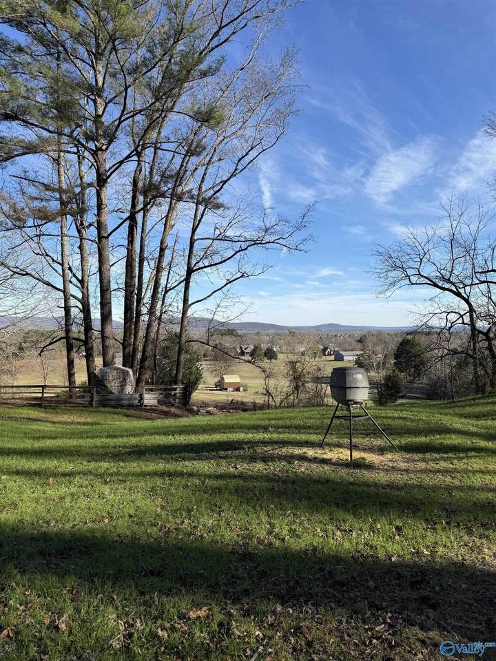 226 Walter Bird Drive - Photo 1