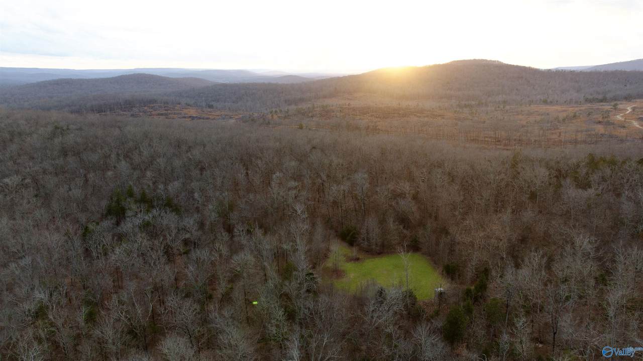 1,068 AC Highway 72 - Photo 1