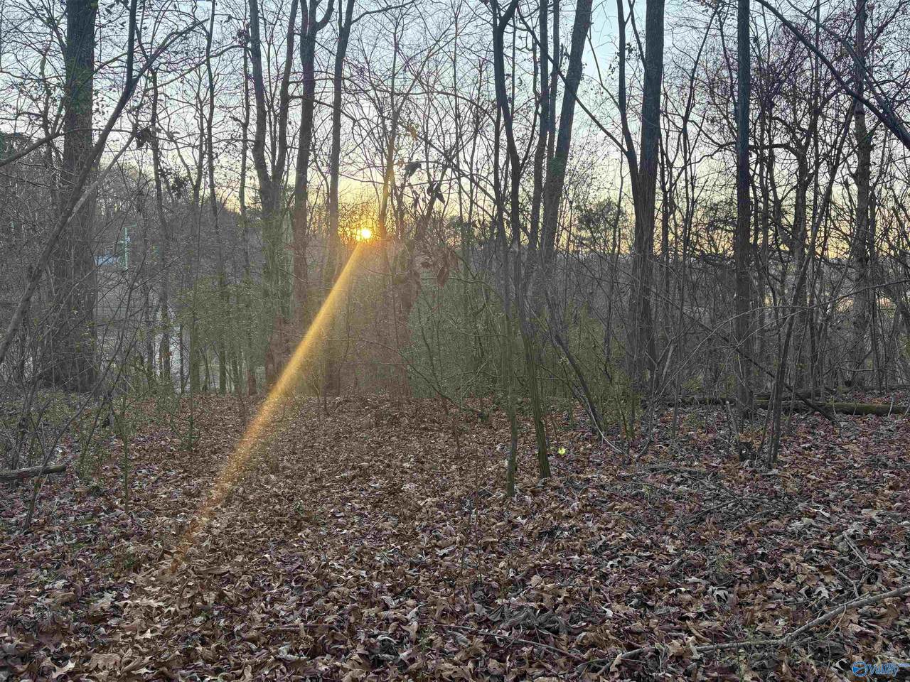 Lot 4 and 5 Snodgrass Road - Photo 1