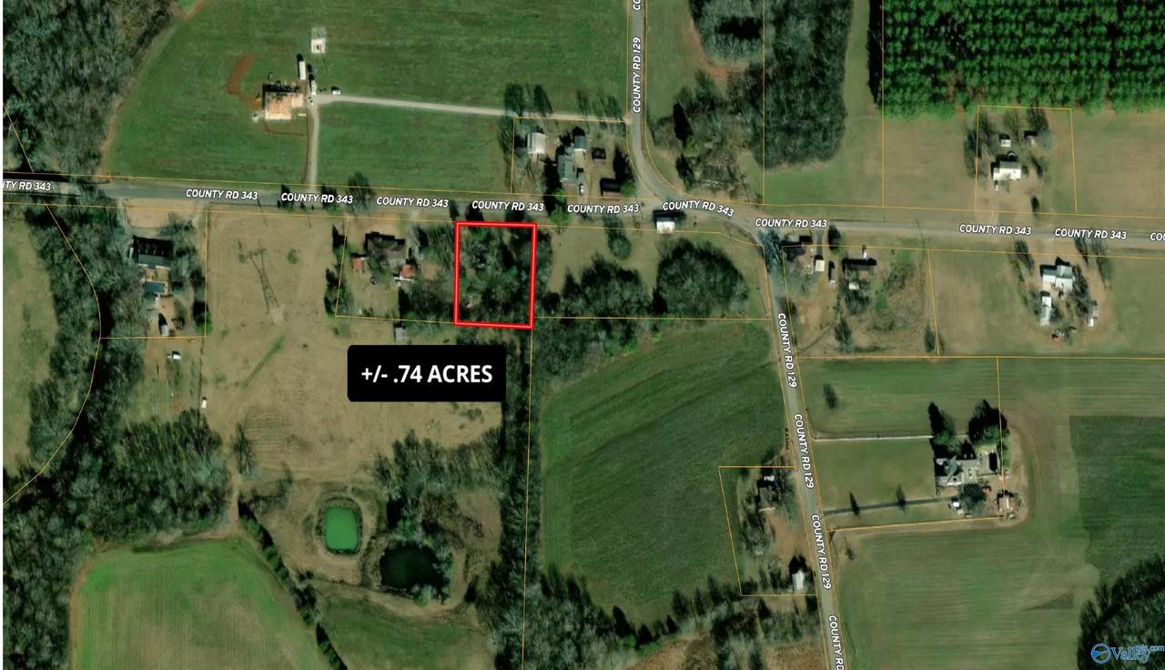 .74 acres County Road 343 - Photo 1