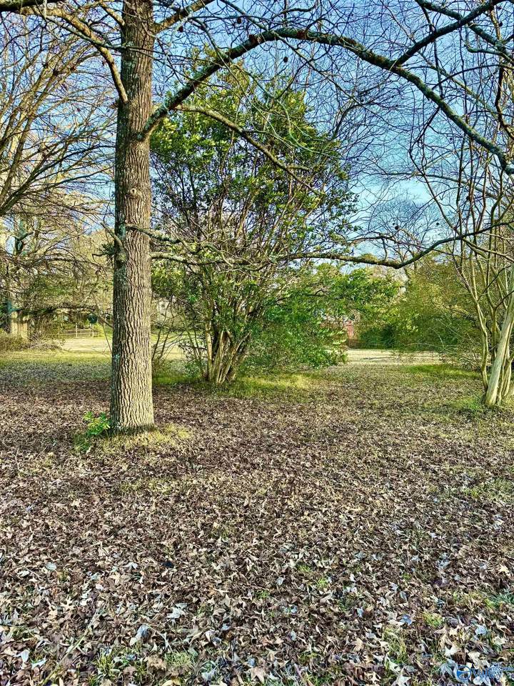 Lot 2 Corsbie Street - Photo 1