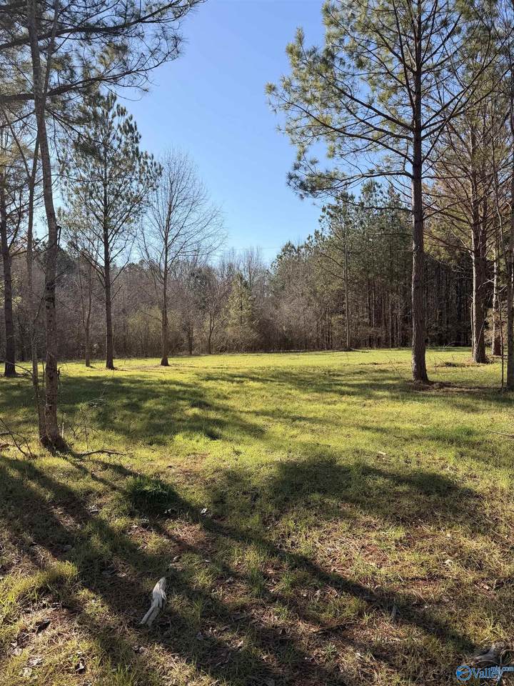 Lot 62A County Road 32 - Photo 1