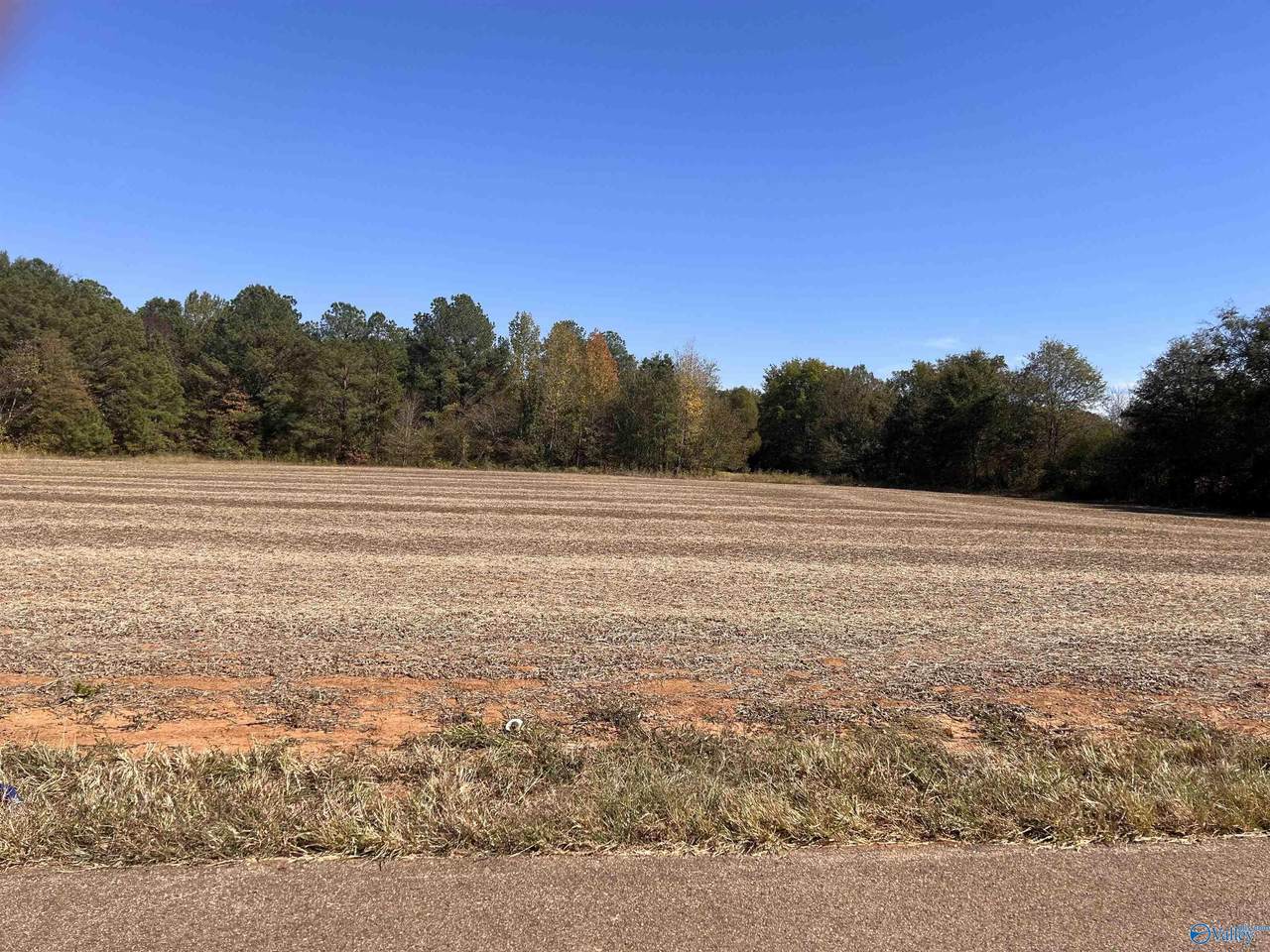 3787 County Line Road - Photo 1