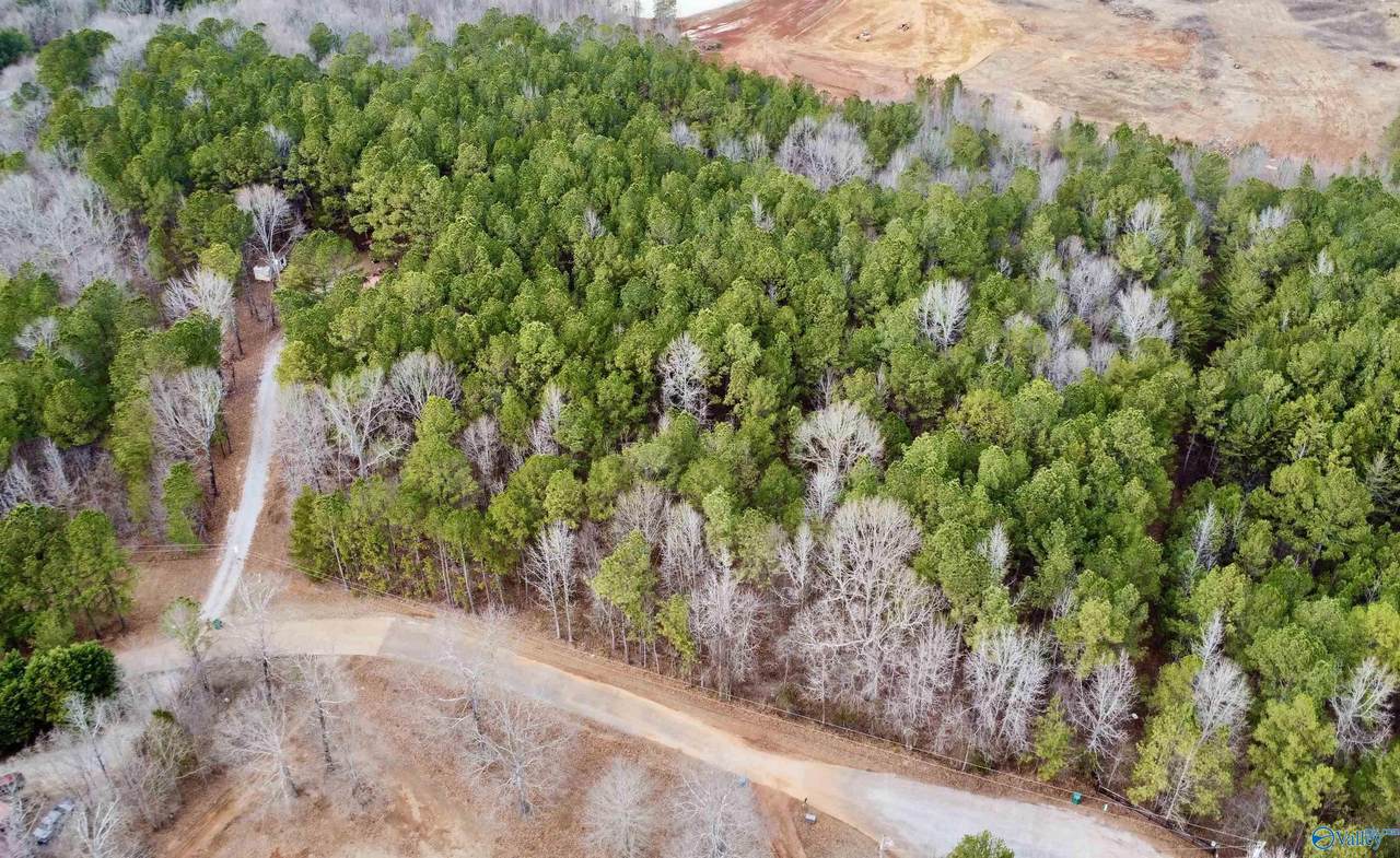 LOT 11 County Road 328 - Photo 1