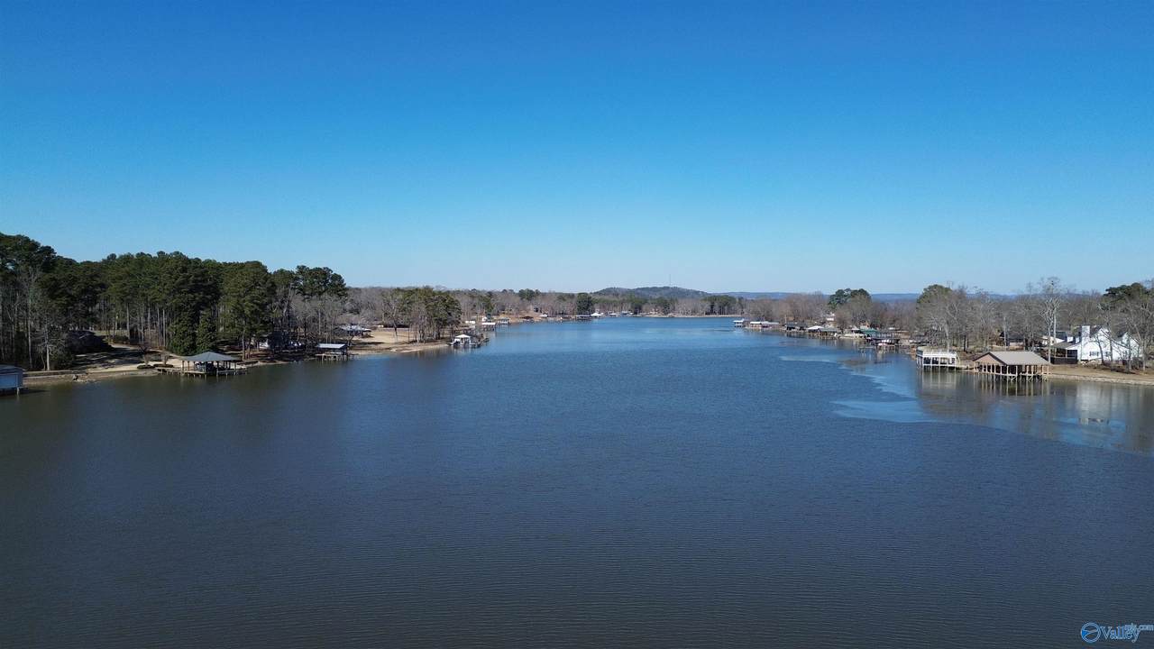 Lot 6 County Road 449 - Photo 1