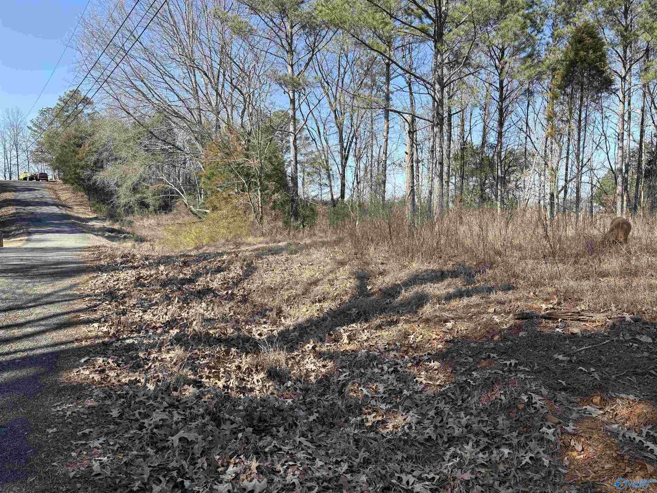 Lots 2&3 Savory Drive - Photo 1