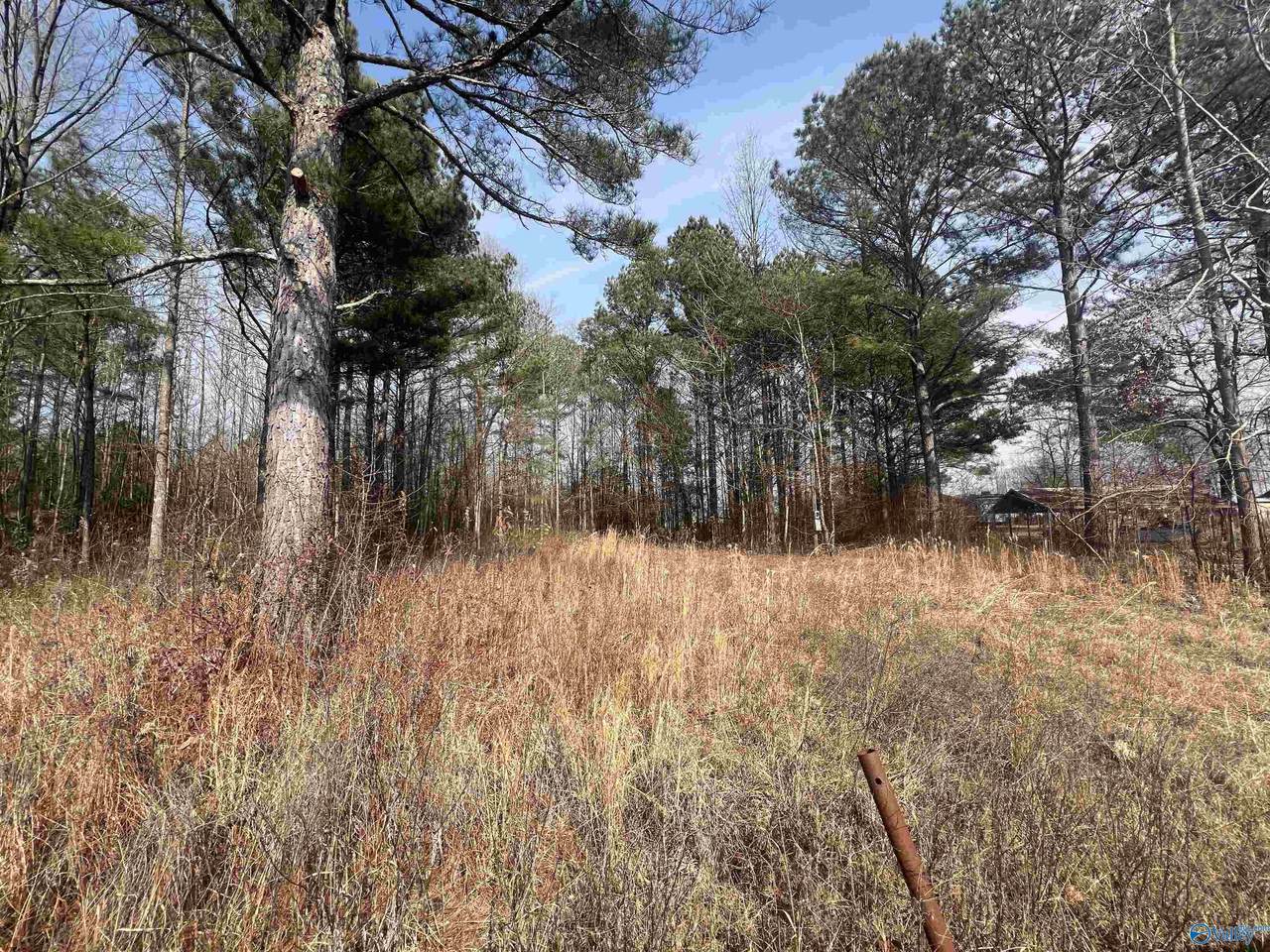 LOT 128 Spring Creek Campground - Photo 1