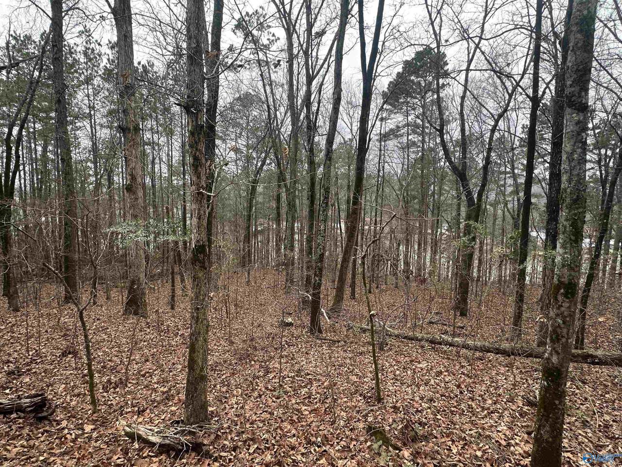 0.62 Riddles Bend Road - Photo 1