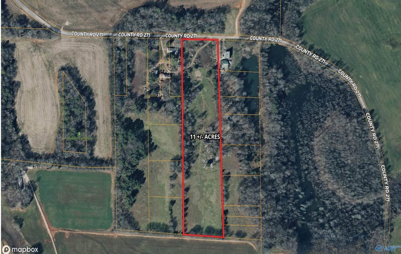 11 acres County Road 271 - Photo 1