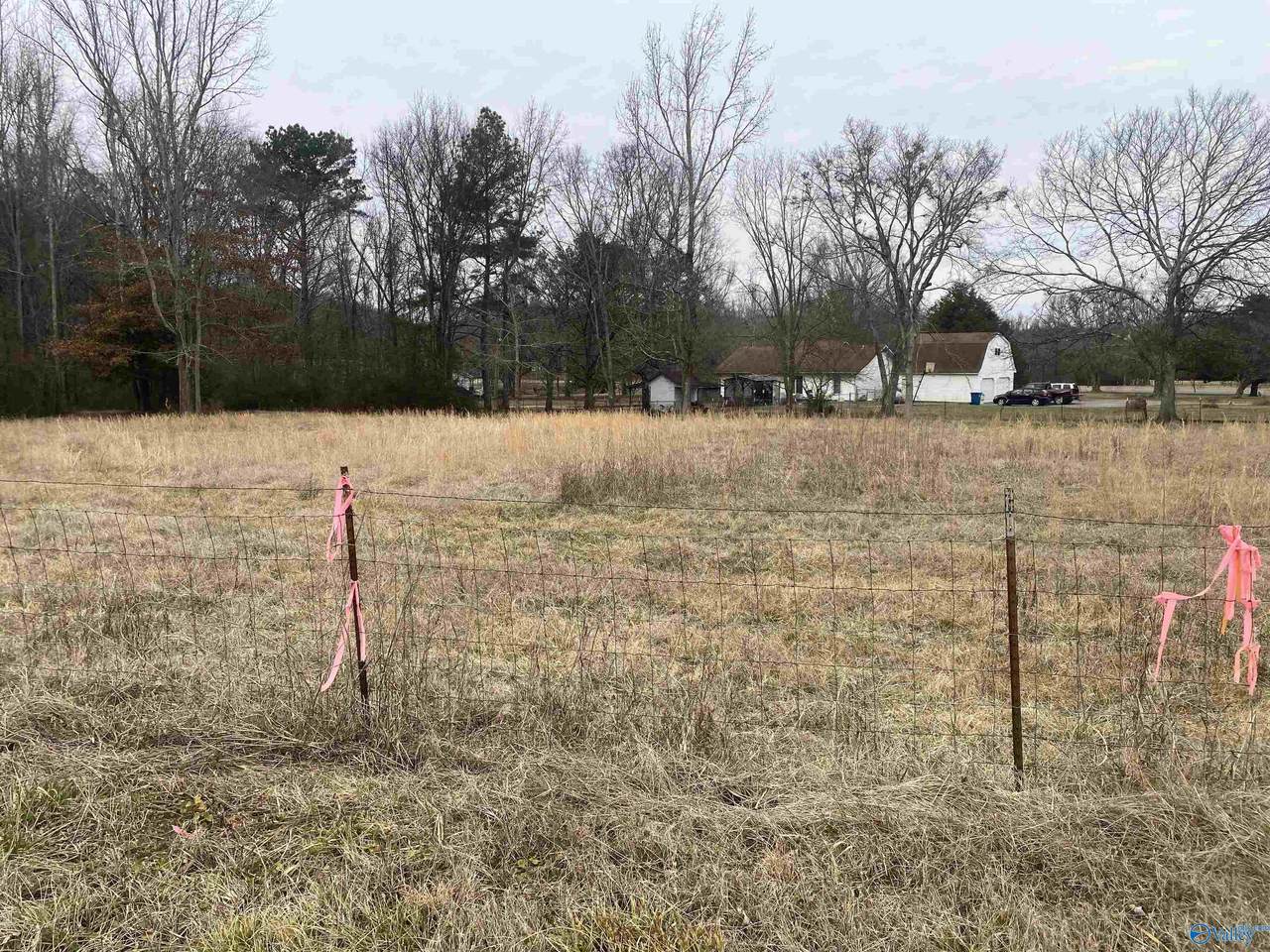 1907 Quarry Road - Photo 1
