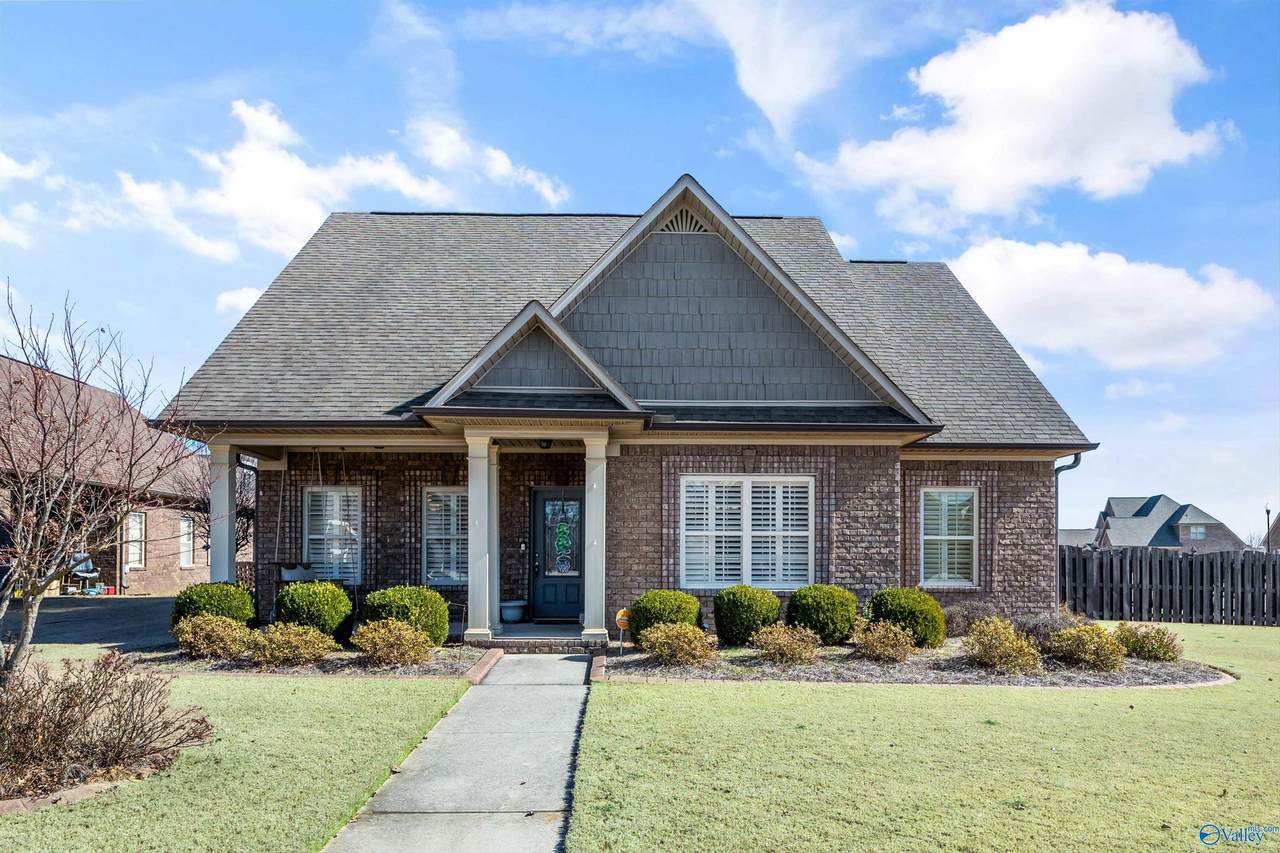 17342 Chinaberry Road - Photo 1