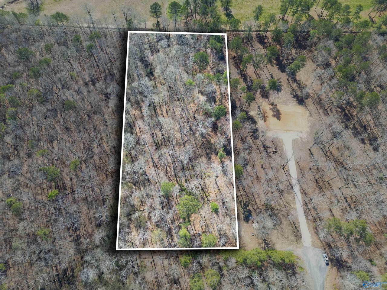 3.7 County Road 497 - Photo 1