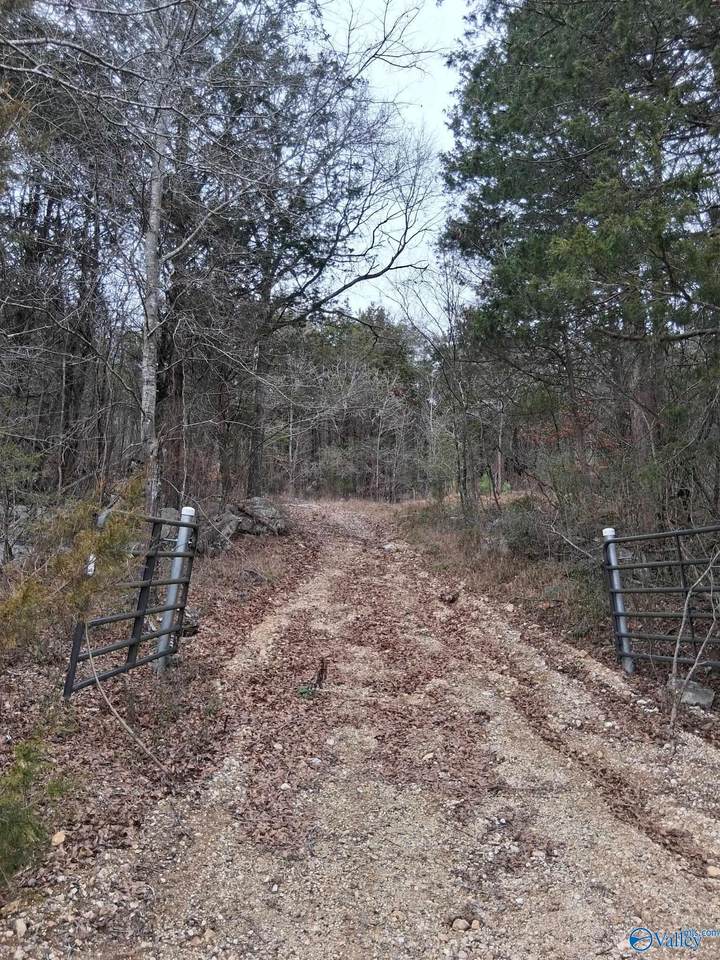93.67 County Road 106 - Photo 1