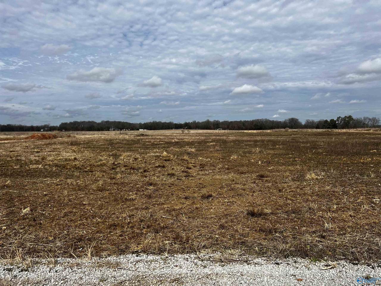 151 County Road 113 - Photo 1