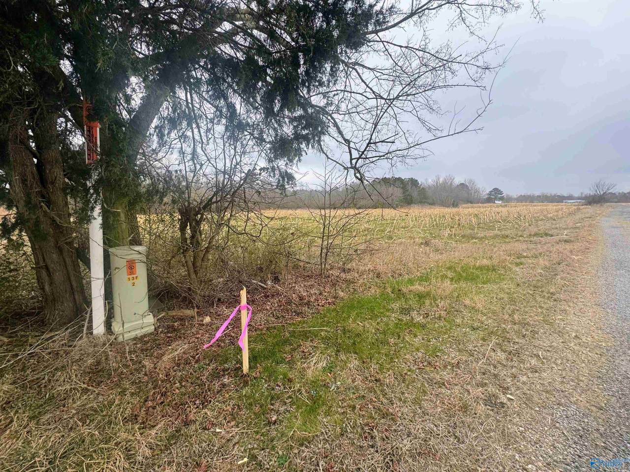 30 ACRE County Road 603 - Photo 1