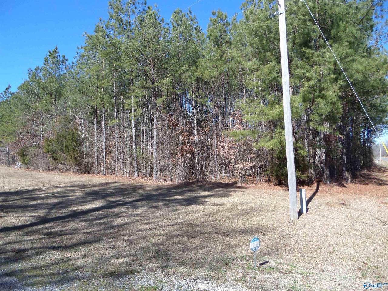 2225 County Road 55 - Photo 1