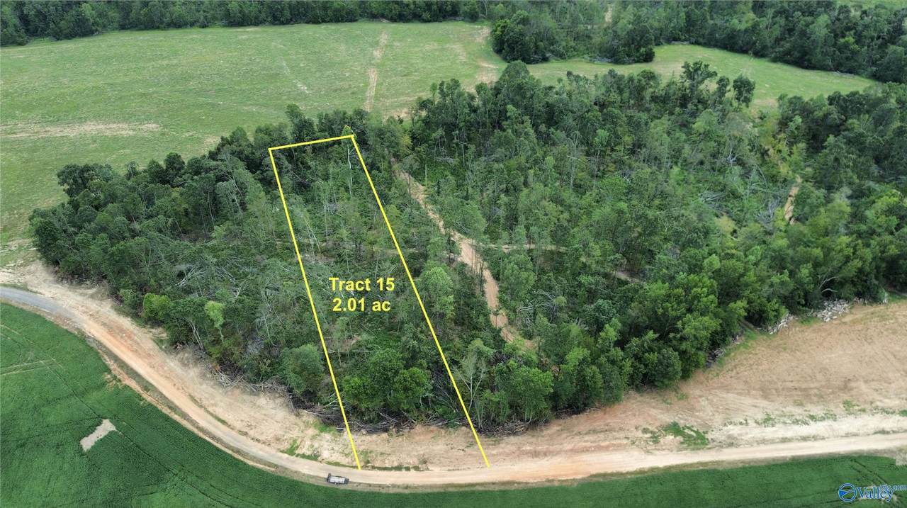 21394 Holland Road - Photo 1