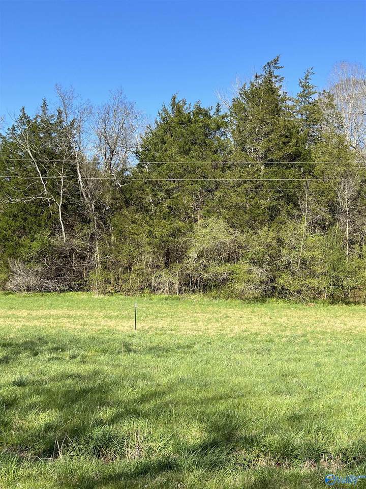 Tract 2 Spring Valley Road - Photo 1