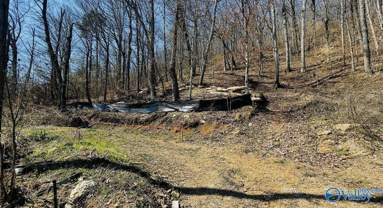 5928 Lister Ferry Road - Photo 1