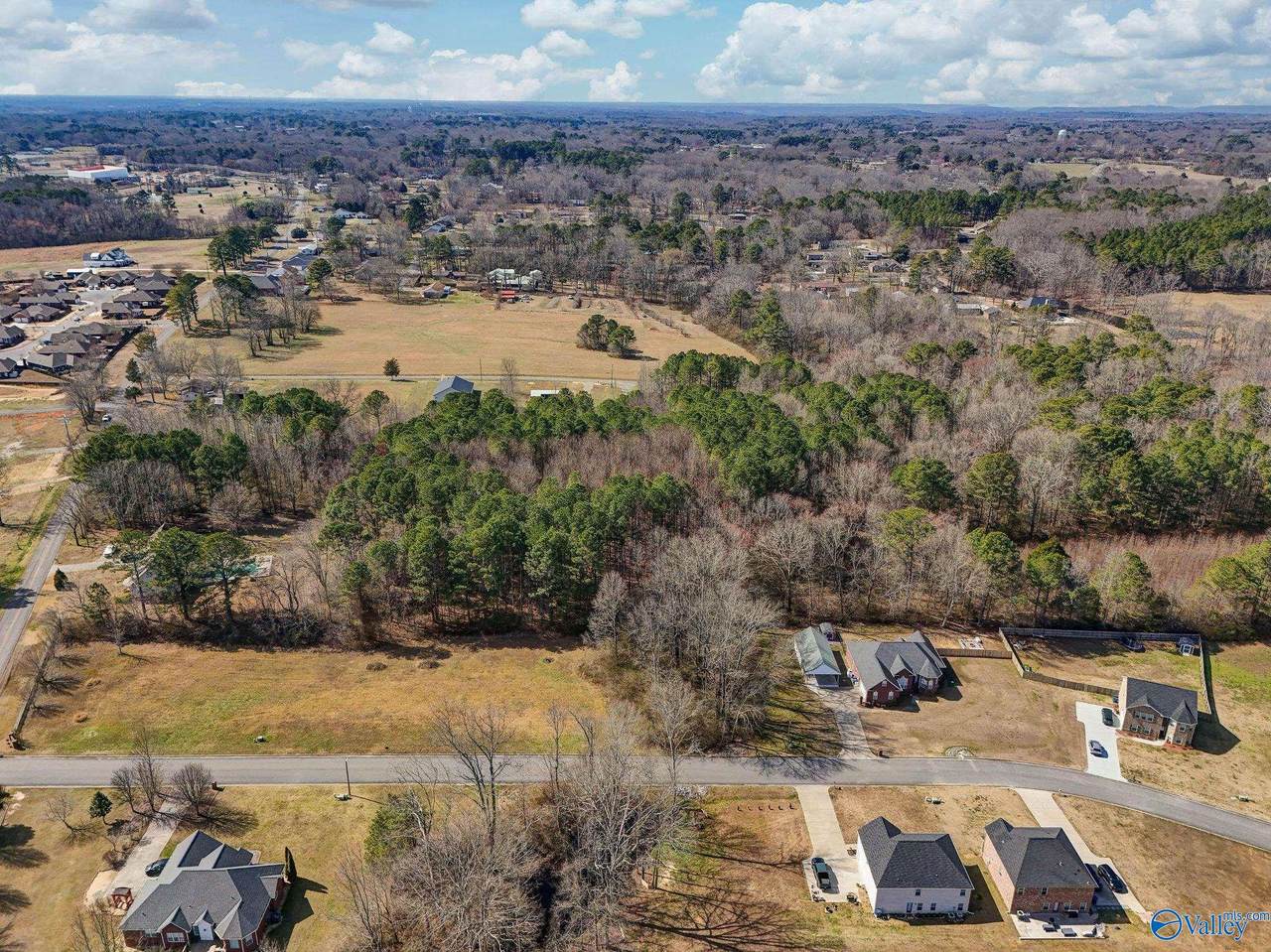 LOT 3 Summertree Way - Photo 1