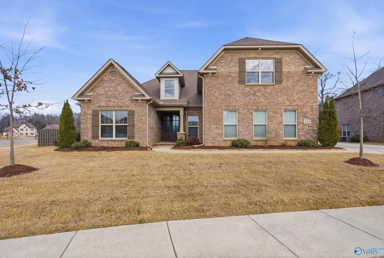 201 Goose Hill Bend - Photo 1