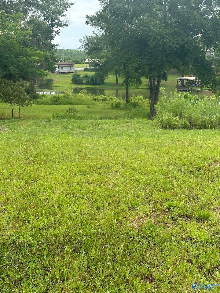 836 County Road 359 - Photo 1