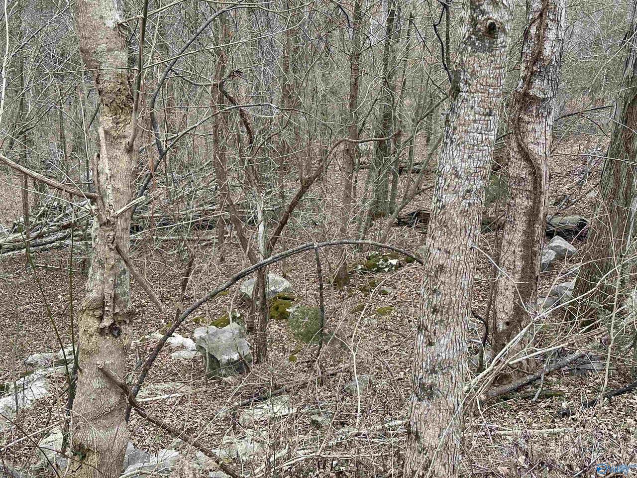 4621 Legacy Preserve Way - Photo 1