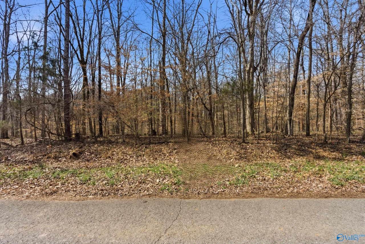 24431 Hickory Drive - Photo 1