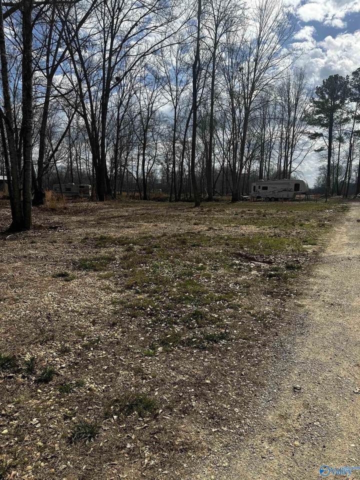 1725 County Road 182 - Photo 1