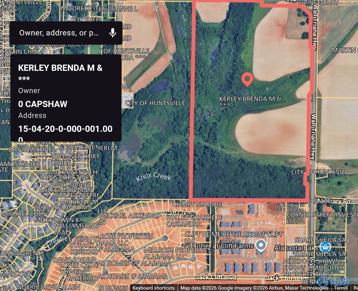 6536 Wall Triana Hwy - Photo 1