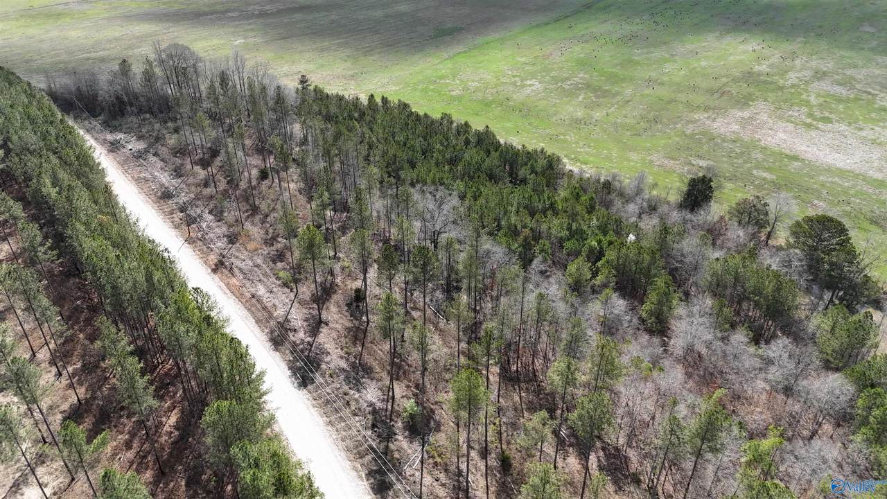 15 County Road 175 - Photo 1