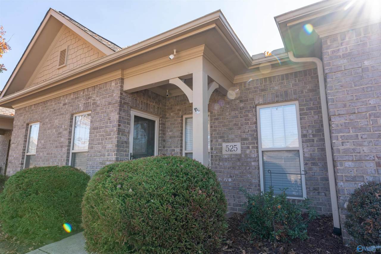 525 West Mossyleaf Drive - Photo 1